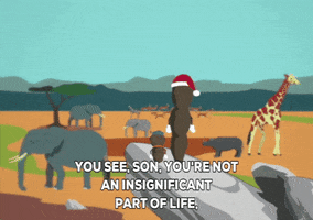 Mr. Mackey Elephant GIF by South Park 