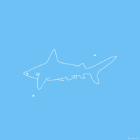 just keep swimming shark week GIF by Lunares