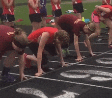 hs  GIF