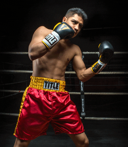 brettatitleboxing boxing trunks jessie vargas la nueva generacion GIF