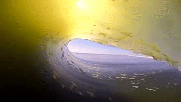 xtremevideo surf barrel surfers village GIF