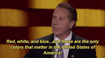 and those are the only colors that matter in the united states of america GIF by Democratic National Convention