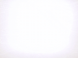 canalencuentro canal encuentro san martÃ­n san martÃƒÂ­n 17 de agosto GIF
