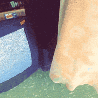 vintage glitch GIF by Caitlin Burns