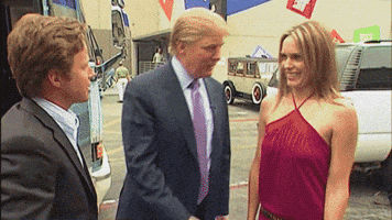 enzo  GIF