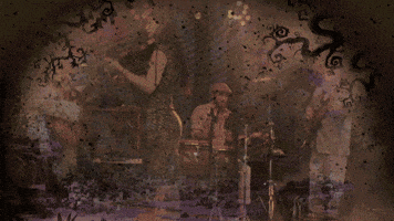 jimmyrector music live florida back GIF