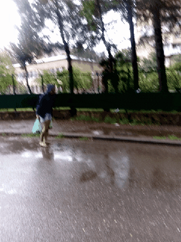 homovident #runninglady GIF