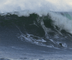 Video gif. A lone surfer rides a massive wave as it crashes down toward him.
              </a>
            </li>
          
        
          
          
          
          
          
            
            
              
              
            
              
              
            
        
          
          
          
          
          
            
            
              
              
            
              
              
            
        
      
    </ul>
  </div>
  <details class=