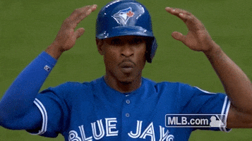 Toronto Blue Jays Wow GIF by MLB