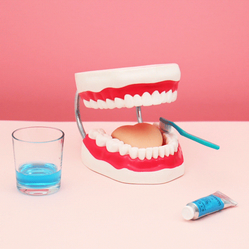 Dental Teeth GIF by Katy Beveridge Studio - Find & Share on GIPHY