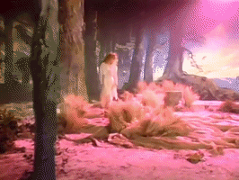 Fleetwood Mac Gypsy GIF