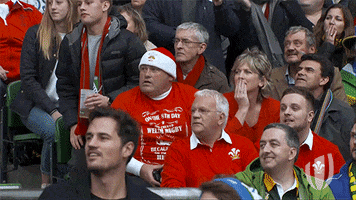 Rugby World Cup Fan GIF by World Rugby