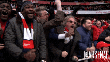 premier league yes GIF by Arsenal