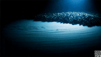 oh no oceans GIF by BBC America
