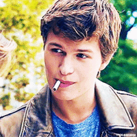 the fault in our stars love GIF by 20th Century Fox Home Entertainment