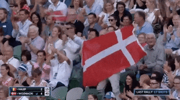 Danish Flag Tennis GIF by Australian Open