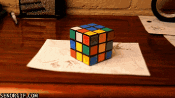 Wait For It Optical Illusion GIF by April Fools