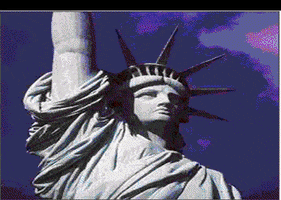 edcleaner liberty GIF