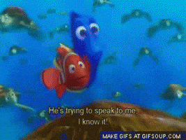kpetersen austin finding nemo austin what austin federa GIF
