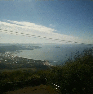 simmer  GIF