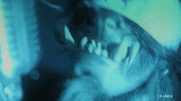 music video werewolf GIF by CALABRESE