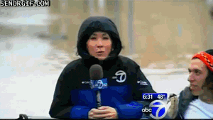 nowjersey  GIF