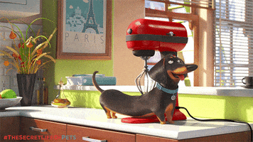 Dog Massage GIF by The Secret Life Of Pets