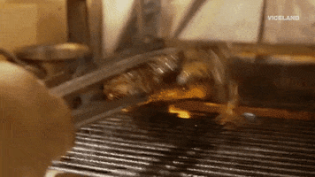 Labor Day Cooking GIF by F*CK, THAT'S DELICIOUS