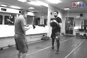 izvor-volk izvor michael grudev systema kick defense GIF