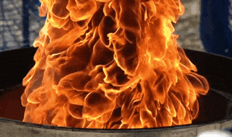 tonypuh  GIF