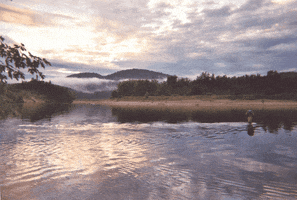 jessicadesrochers  GIF