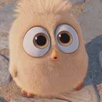 Sony Pictures Trailer GIF by Angry Birds