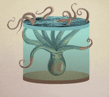 art octopus GIF by Nate Makuch