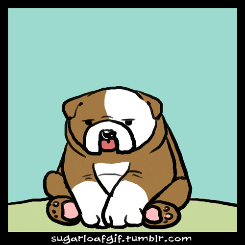 Dog Fart GIFs Find & Share on GIPHY