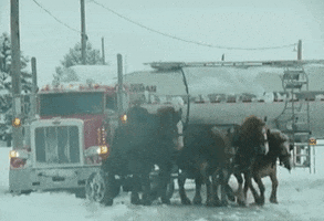 heathertrobe  GIF