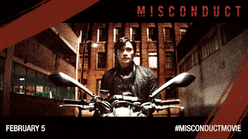 Alpacino GIF by Misconduct