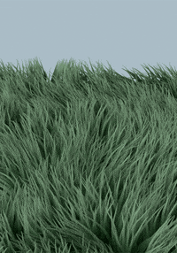 200w.gif