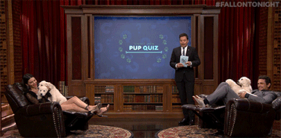 jimmy fallon puppies GIF by The Tonight Show Starring Jimmy Fallon