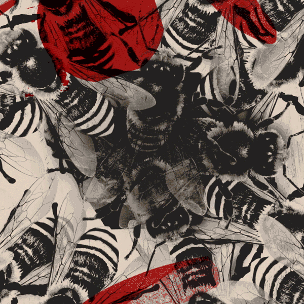 lacar animation fox season 7 motion GIF