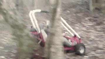 BDX  GIF