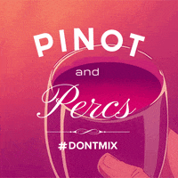 beer pong party GIF by dontmix.org