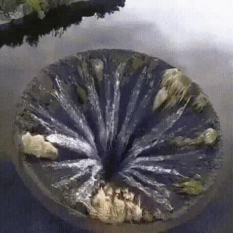 poltergeisti  GIF