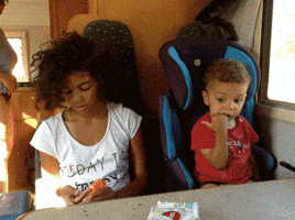 perception  GIF