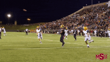 wichita falls football GIF by Midwestern State University