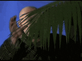 Party Barcelona GIF by Reckon