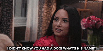 demi lovato puppy GIF by The Tonight Show Starring Jimmy Fallon