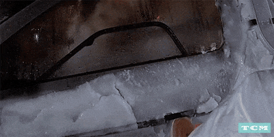 back to the future dog GIF by Turner Classic Movies