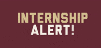 FSUCCI fsu intern internship florida state university GIF