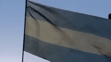 Waving Argentina Flag GIF by Tomi Ferraro, Sportz