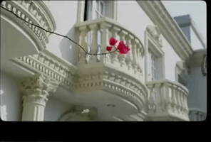 Music Video Mv GIF by Lady Gaga
